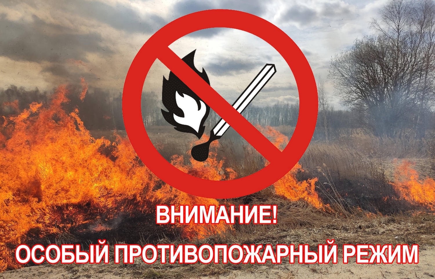 Уважаемые жители Нюксенского округа , с 15 апреля на территории Вологодской области объявлен особый противопожарный режим.